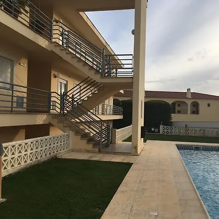 Palmeiras Brejos * Albufeira
